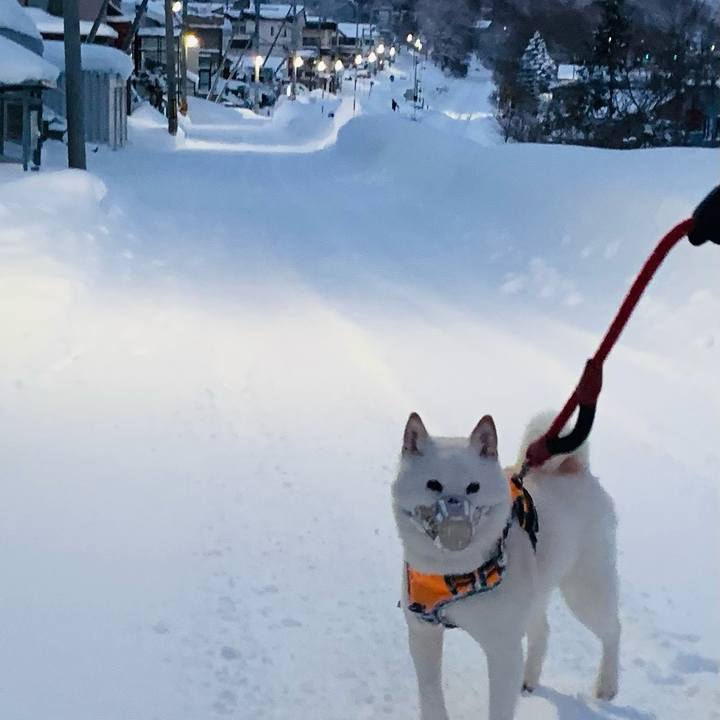 719eec34 3b19 4a7c b644 84ccab9c3d31 1672783666376