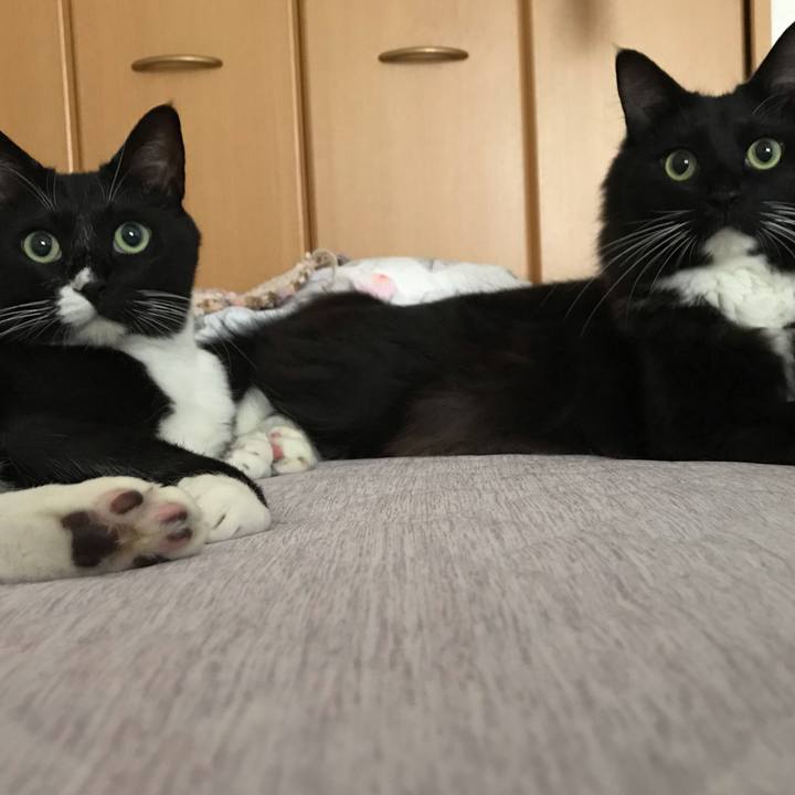 719eece3 d5bc 4cda ba0e f41dbdbd31c1 1560471176627