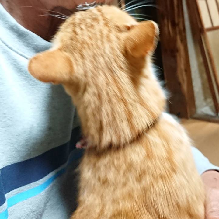 719f1614 306a 49f1 8612 d8c7c9da56e2 1602362824363