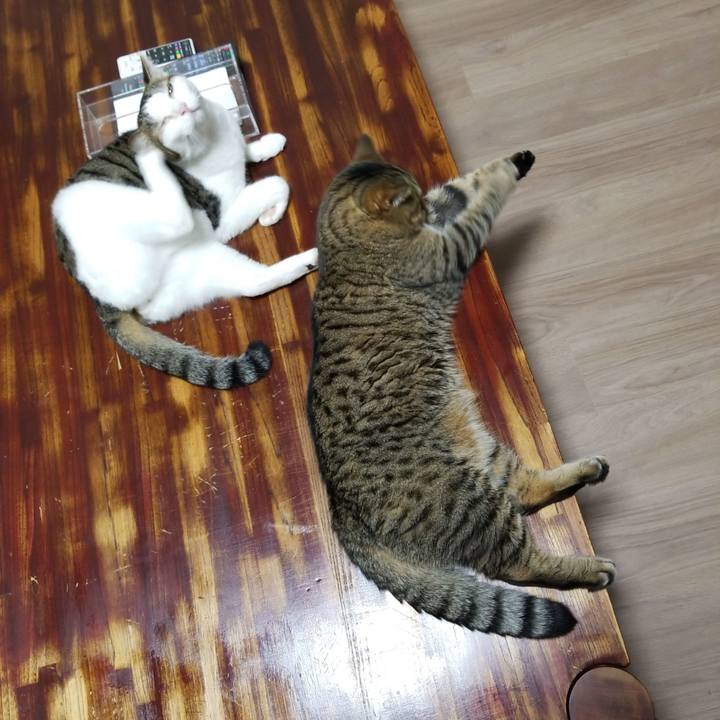 719f1fbf 5654 45ba a226 a07d6ae0eb13 1566249586871