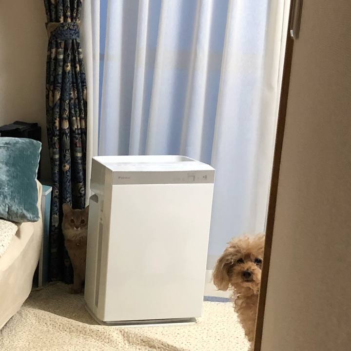 719f25d2 423d 4454 839a 962ef441a25d 1576111856145