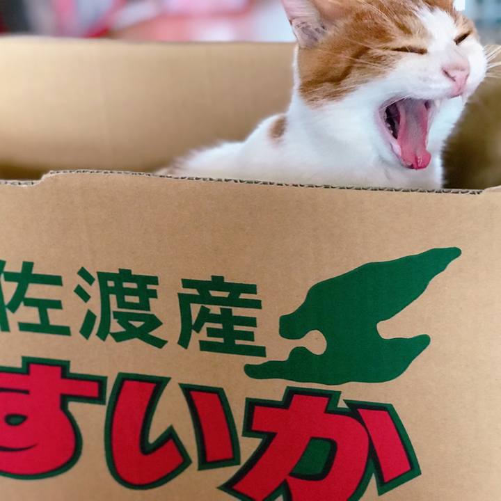 719f3984 f22f 4a9a aae2 c718607e92ee 1566189203289