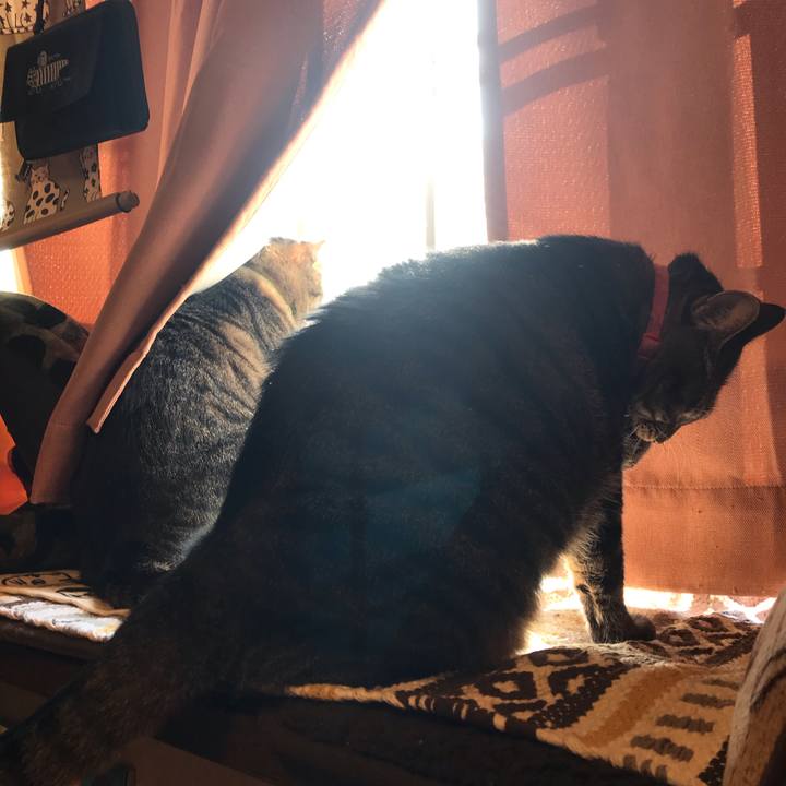 719f8c55 00d5 49ce bc34 90addbc9855a 1574112731549