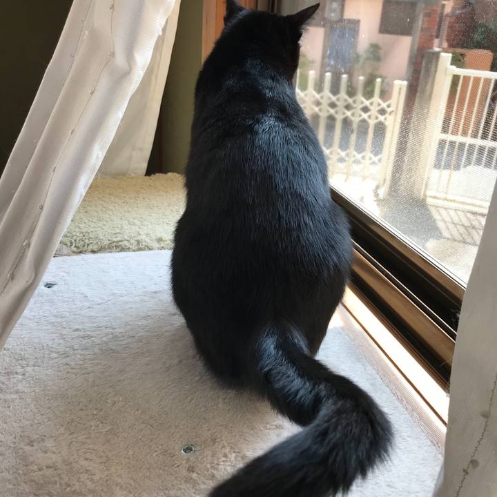 719fb137 e325 4e9b a2d0 27c81e6e44bd 1530147900317