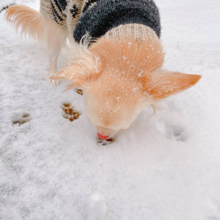 71a00246 4b23 4844 9df6 407811a2c619 1641452663219