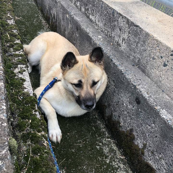 71a008be 61a2 4b3b 9d62 e1d26b31e39d 1528621467392