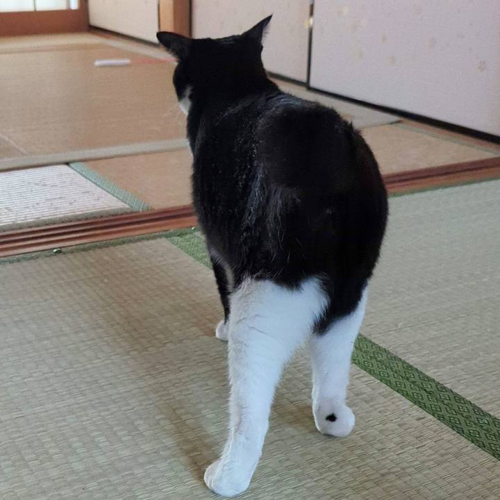 71a04ab4 15cc 4a88 a38c 64580ca2eb1d 1707714244046