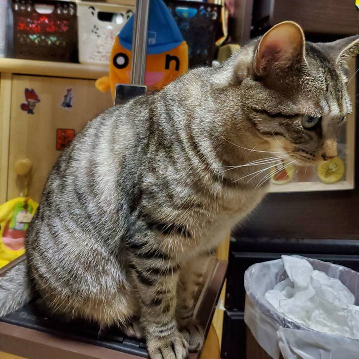 71a09c6a b2f1 4ff9 b502 6bf05def3687 1697977201581