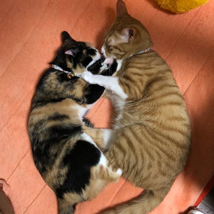 71a0b797 daa8 4e58 9ba9 f314607d41c3 1572435269219