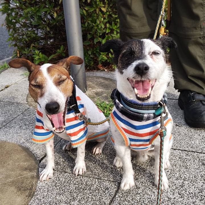 71a0d720 ce36 4f2b 92d7 1095cf5dd976 1721944110242