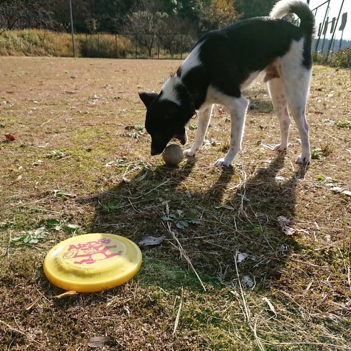 71a1141b 0a2a 4d17 9fb7 0961bba03c69 1511756293828