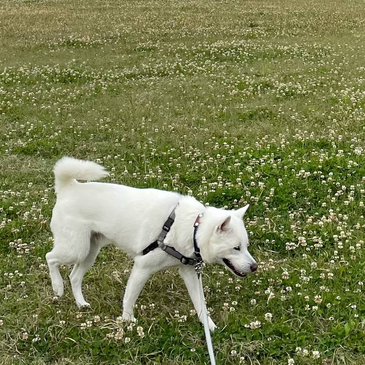 71a1343a 7fad 4f0f b8f6 168351189be2 1619151030440