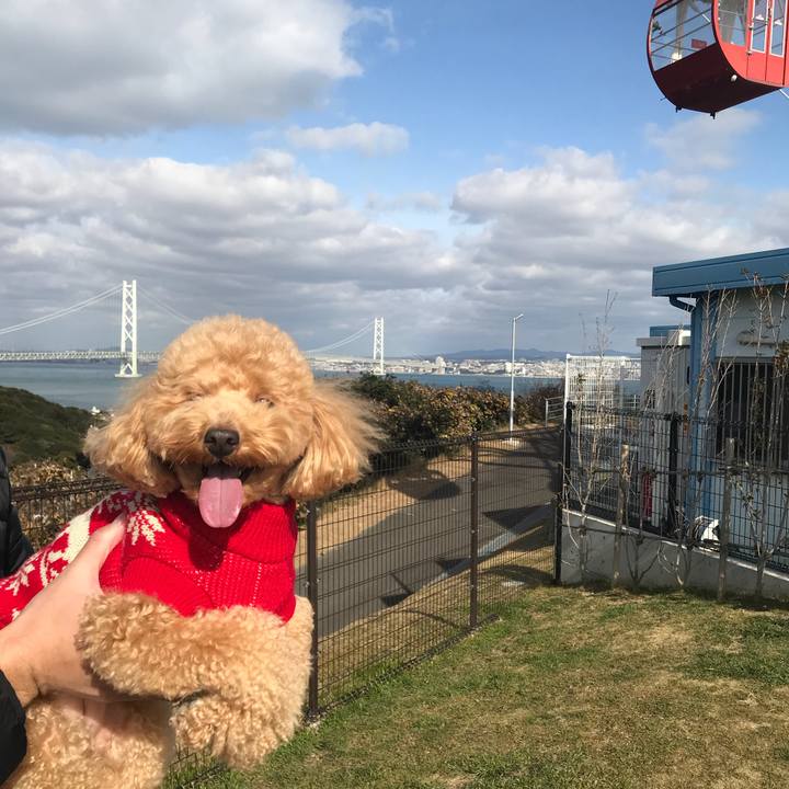 71a14c87 ddcc 47bd a5ef 1741d5bfc0b1 1515297616038