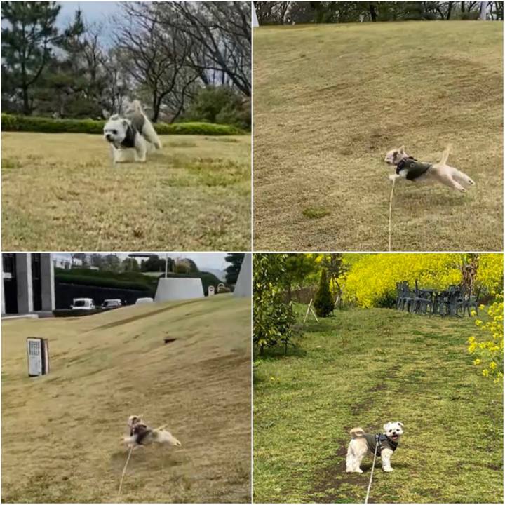 71a14fd2 59c2 461c 93b0 f3724198525e 1585389377909