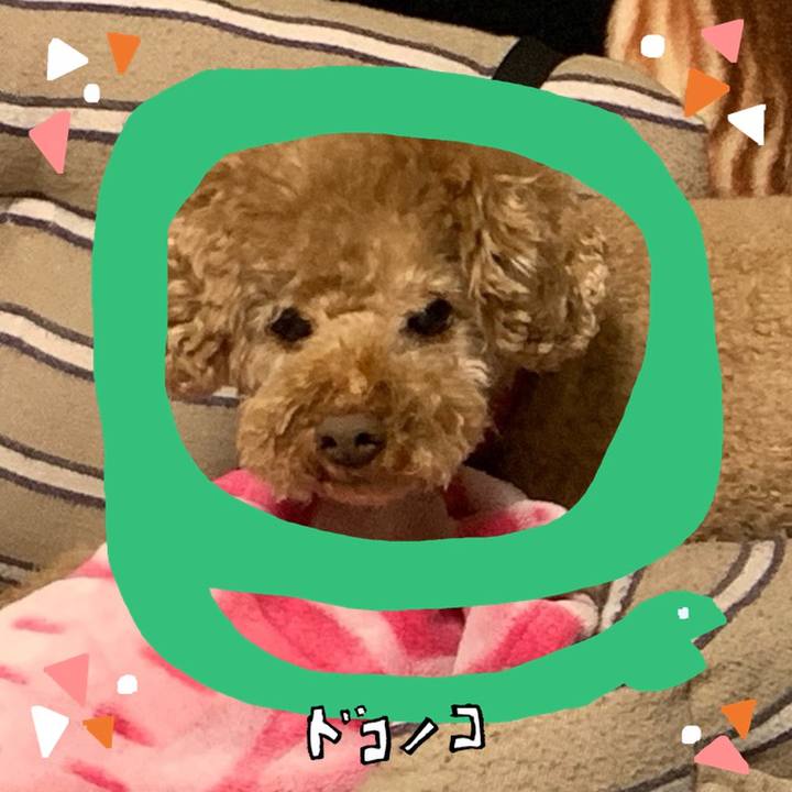 71a151b8 6df2 4521 a1b1 6624e6de85d7 1741136904322