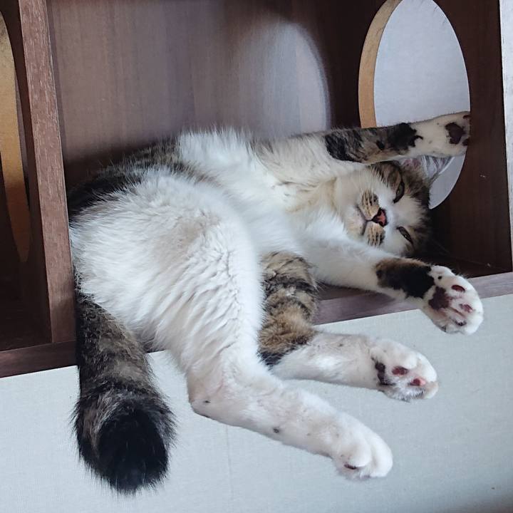 71a1b477 d624 4a96 abdc eef6b1d0a9af 1690331250973