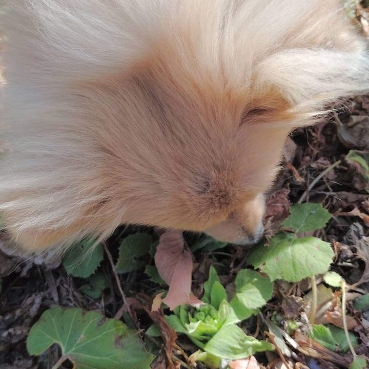 71a1b56d 8f5d 429c a86c e5615ea90fce 1739673107063