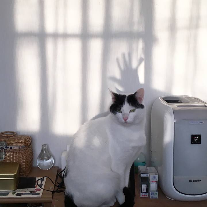 71a1cdfe 2196 4d5d 86d9 55de1916eefb 1520994057893