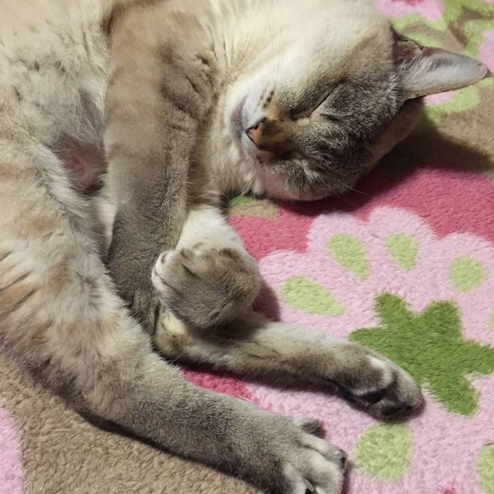 71a1dac1 ed9c 4af4 830c 4b063700b7d8 1518518539480