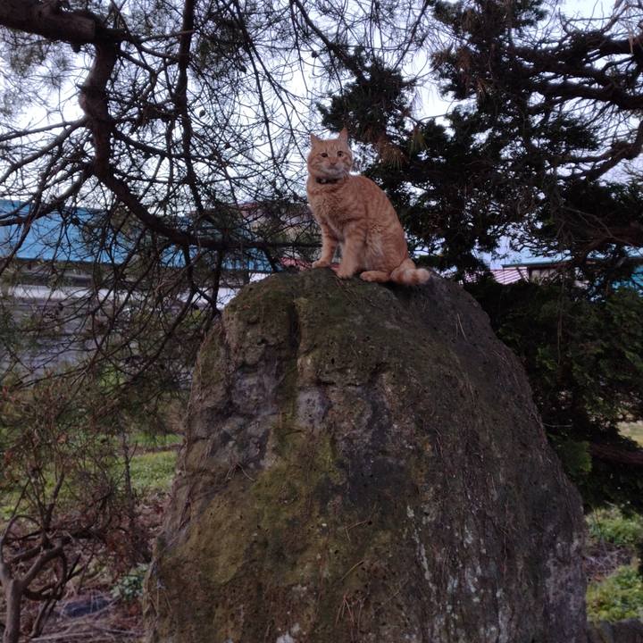 71a1e685 556e 4924 9945 b56b061f06b9 1670105625321