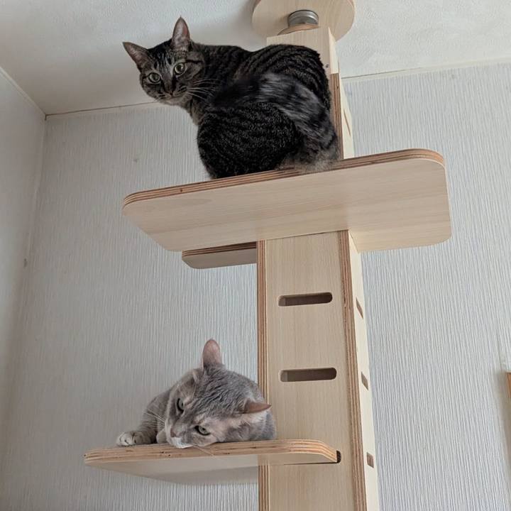 71a1f673 b999 4803 a762 84a904cbfc44 1749623913944