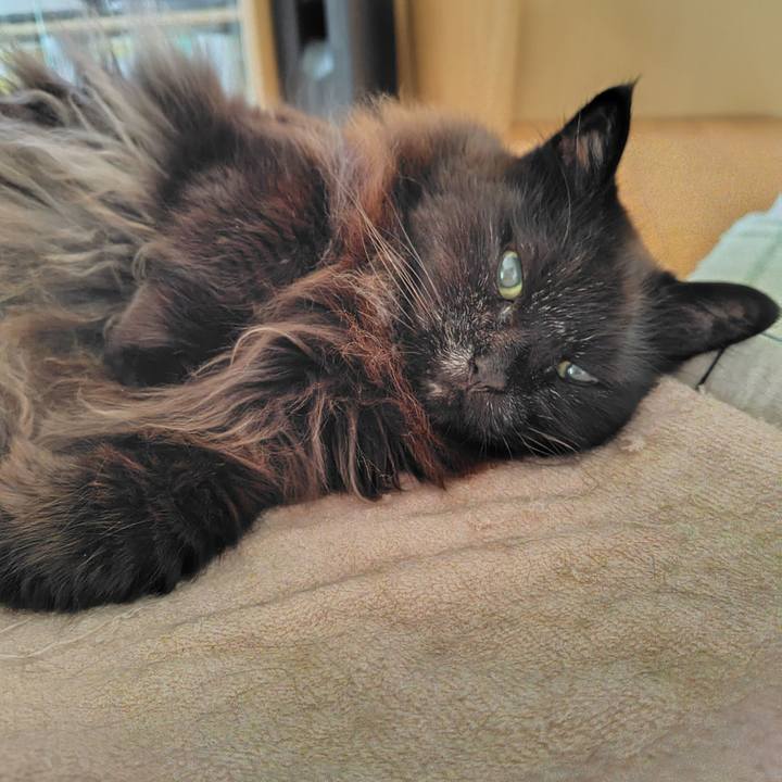 71a234fa 1806 4d24 adb3 20c391dc85ef 1774911996491