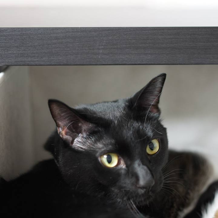 71a27f6d 283b 4bb6 9ac6 99fa91a1757f 1577972938913