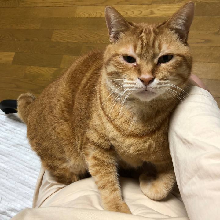 71a281bc 4ecb 4bc1 8fdb d688a498fdac 1653999085168