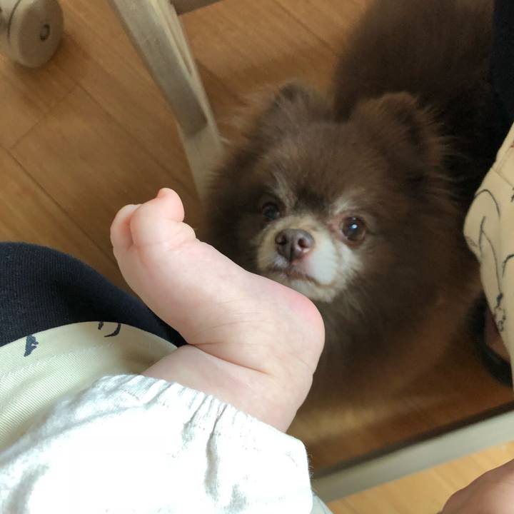 71a2b501 50bf 4870 a526 6d5353d25d6f 1562983455422