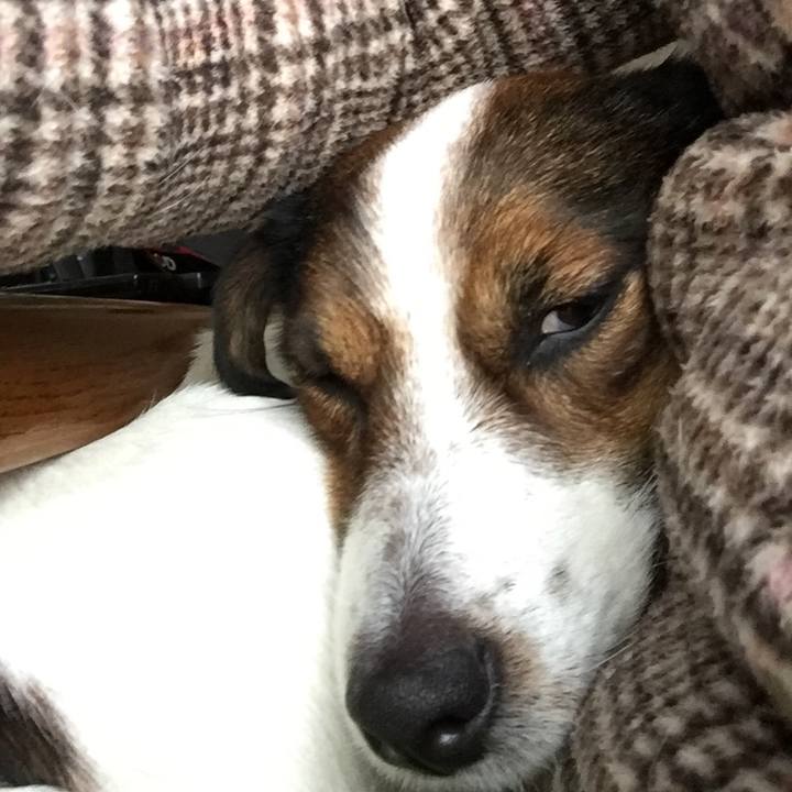 71a2cbe9 2710 409f 9ceb 637bf441f315 1518580298059