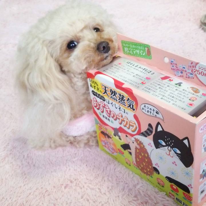 71a2e0d9 b845 4054 bf3c f836c1a4170b 1548202395098