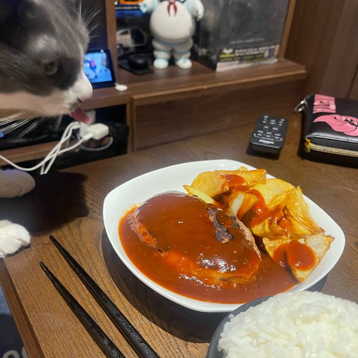 71a30077 2ffc 4f0f 97a5 cbcaaf643604 1716457536337