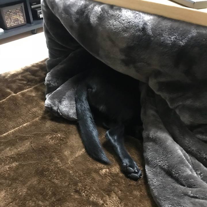 71a313a8 a529 4f67 bd85 e8b5e84eeb6d 1519306455627