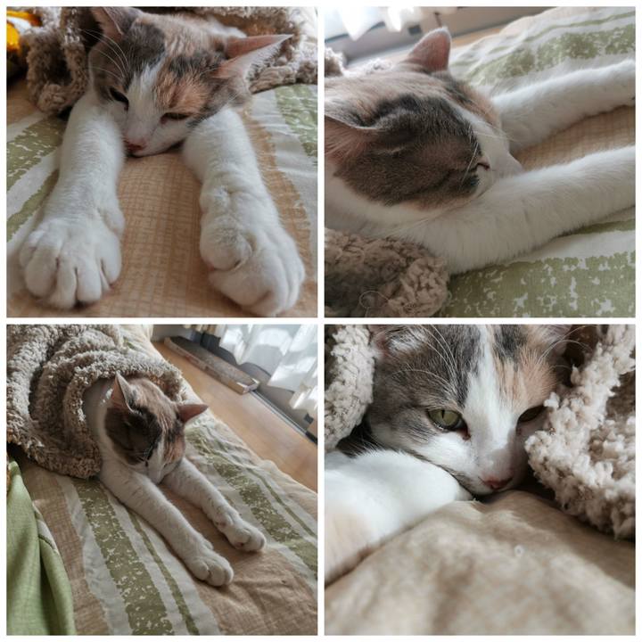 71a3384e fffa 4e15 8ae8 8642b2b8a313 1643169436520