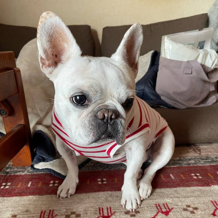 71a3414e 7eb5 4d33 b6c6 66e96ddb3009 1762470363747