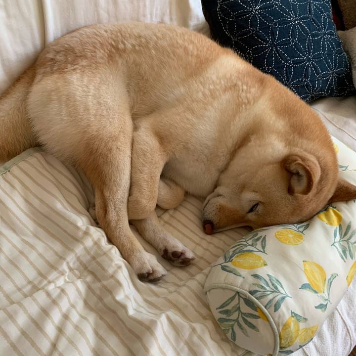 71a3866e 7b51 415e 895f 8c54f21b5367 1651629357668