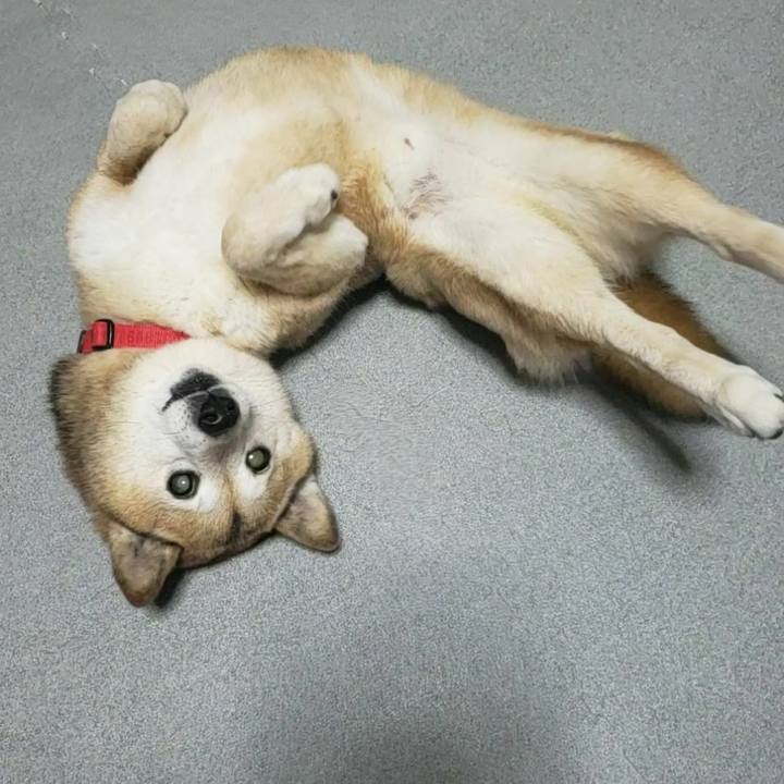 71a3c6d2 95ba 4839 b06a b4f261281045 1675899323805