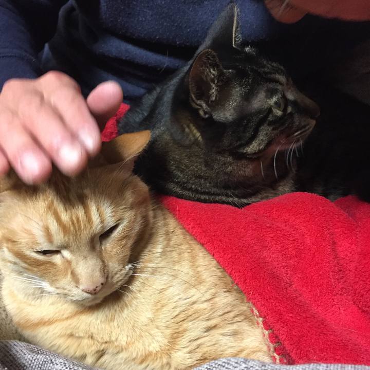 71a3cbe3 1235 4fcb b51b cd99f1396f1e 1518266753602