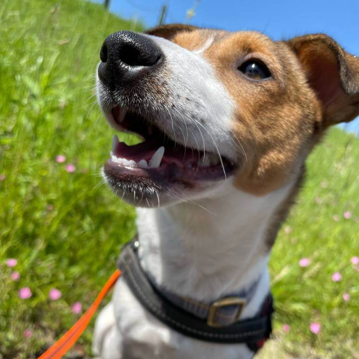 71a3e24c 8ee0 4083 8395 5679f79fed25 1683265630415