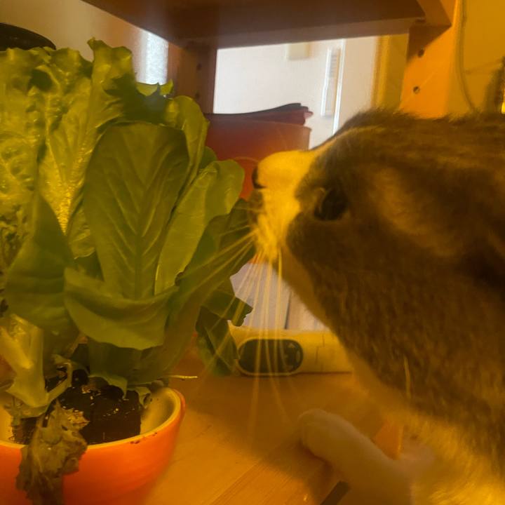 71a3fb3c 3b6e 4439 b480 7ac4119ecd84 1726699275692