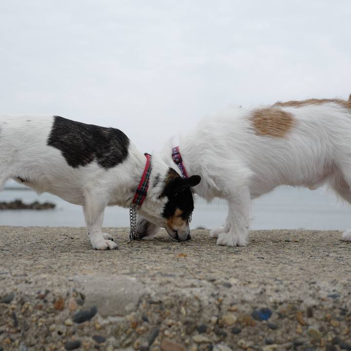 71a470f9 7457 4eb6 ab36 4ff850725934 1554625914030