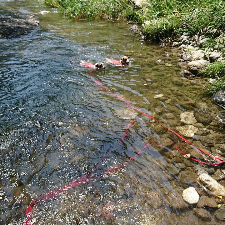 71a4a060 92d7 4b4a b8b6 c1fb43905b16 1564918663879