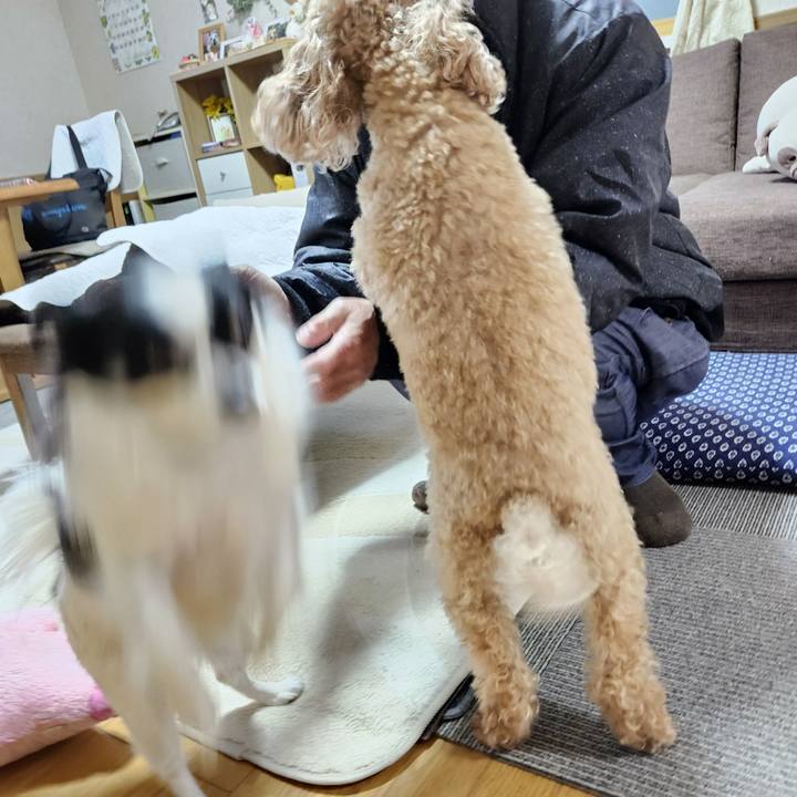 71a4a9d2 b196 4768 bc0b 5d22f43fa893 1769470379238