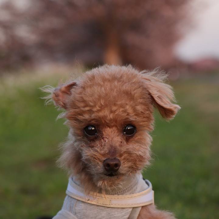 71a4e67b 2e21 42f1 bf5d d64bbd130c20 1616762306698