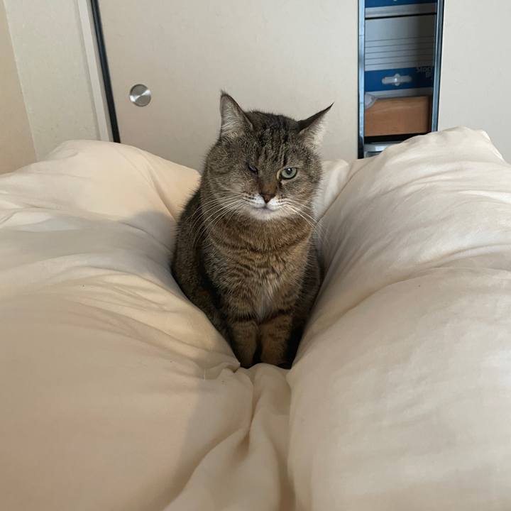 71a5580f 54a8 45c6 aad2 47c34d9be650 1736643907326