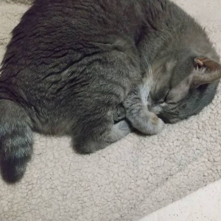 71a56d83 49fe 4254 86be 84ffd8e54ee7 1696506522432