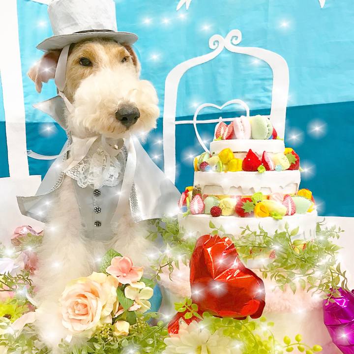 71a58e3a 275b 4b22 872d ddeba83f4a8c 1539059701384