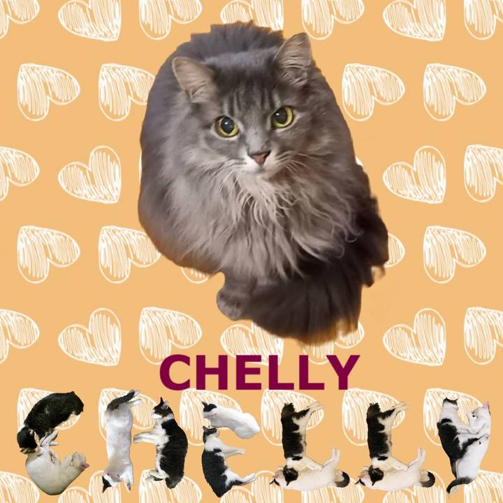 71a597a5 e5c4 4986 ab17 30af24b56b53 1668518841098