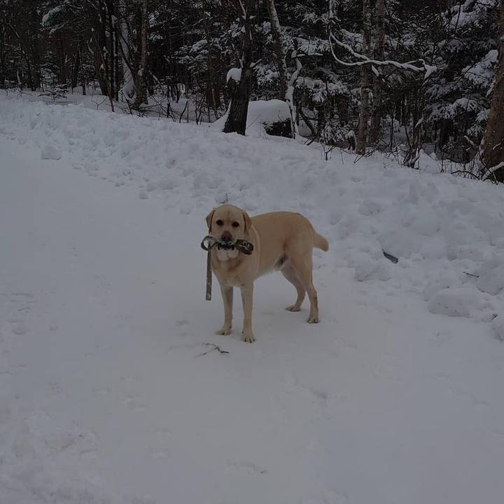 71a5dcdd 439d 4f16 b2e0 486eae12fe78 1640954564782