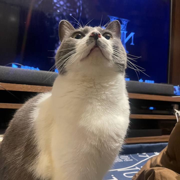 71a5f361 29cd 4f08 bb76 b191d53e9fcc 1706450937772